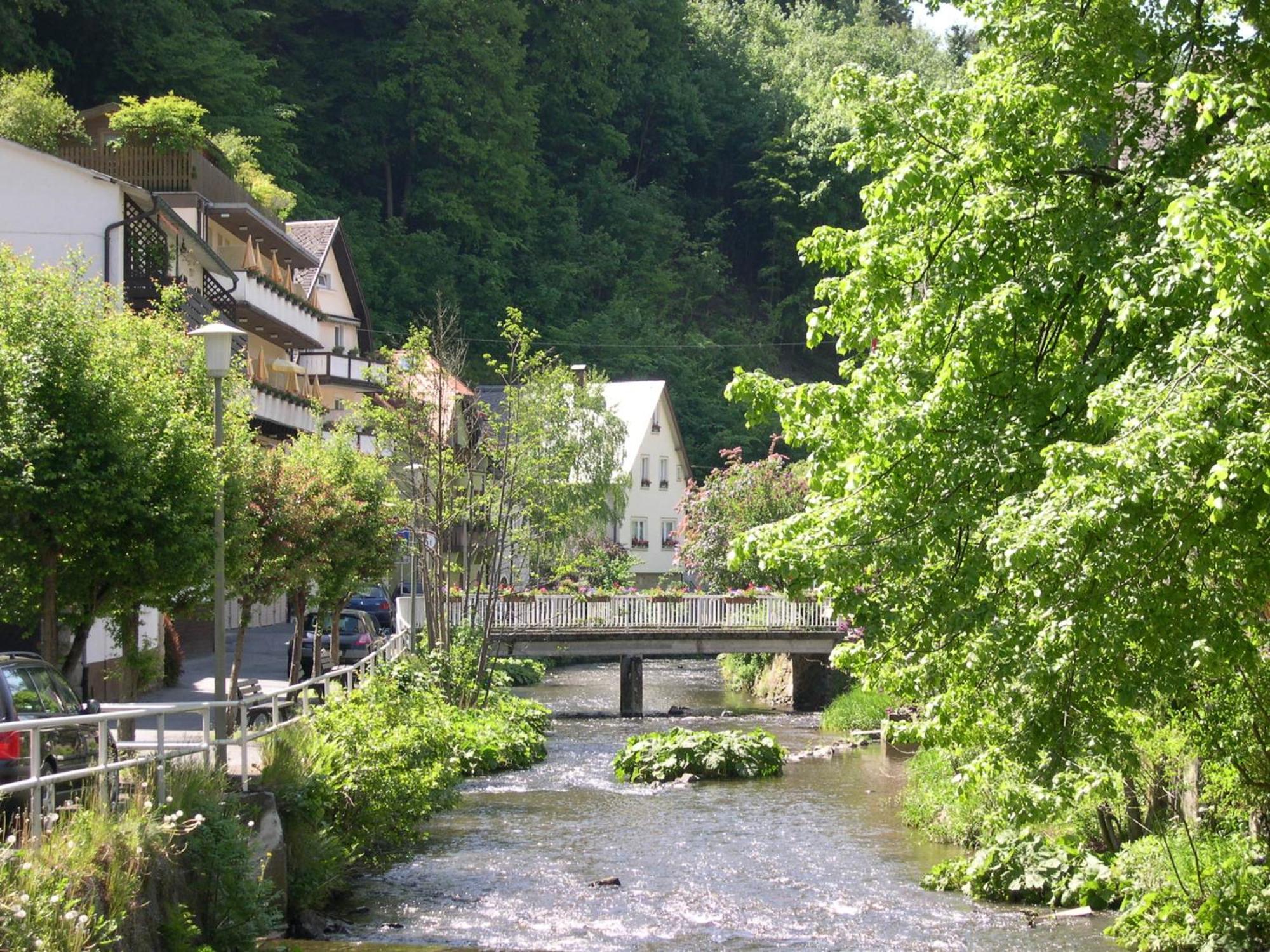 Hotel Heissinger Bad Berneck im Fichtelgebirge Bagian luar foto